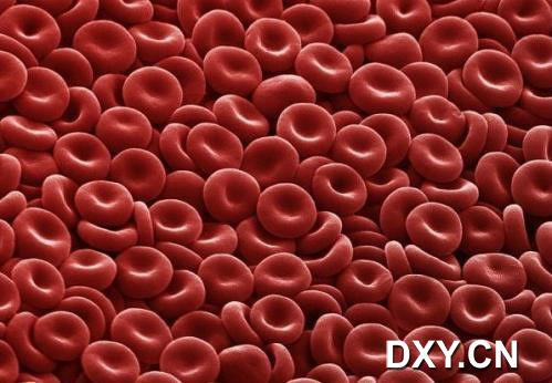 红血球