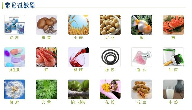文件:常见过敏原.jpg
