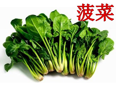 菠菜.jpg