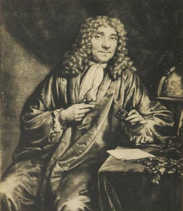 文件:Antoni van Leeuwenhoek.png