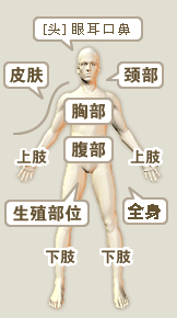 按身体部分查询疾病查询‎
