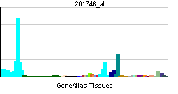 文件:PBB GE TP53 201746 at.png