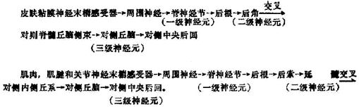 01601.jpg (56217 字节)