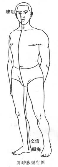 阴蹻脉循行图