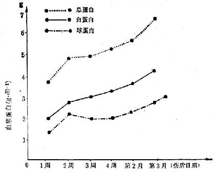 5例（烧伤面积55～70/Ⅲ°40～70%）烧伤后血浆蛋白的变化