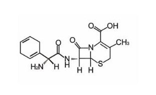 头孢拉定结构.jpg