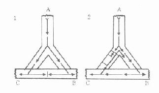 浦肯野纤维末梢正常冲动传导，单向阻滞和折返