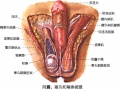 2014年1月18日 (六) 15:49的版本的缩略图