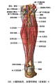 2014年1月17日 (五) 09:30的版本的缩略图