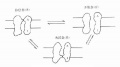 2014年1月18日 (六) 13:03的版本的缩略图