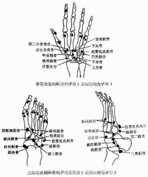 文件:Gl989li5.jpg