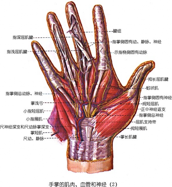 文件:Glmggg65.jpg