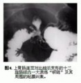 2014年1月19日 (日) 05:14的版本的缩略图