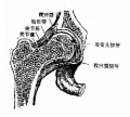 2014年1月19日 (日) 03:55的版本的缩略图