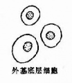 2014年1月19日 (日) 04:38的版本的缩略图