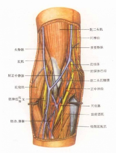 文件:Glyqxm6z.jpg