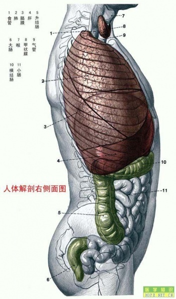 文件:D517u8eAKHdzgAEM.jpg