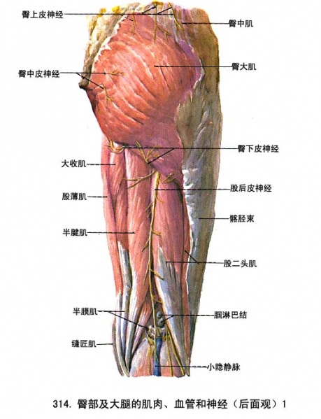 文件:Glmgidey.jpg