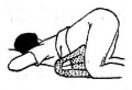 2014年1月19日 (日) 03:53的版本的缩略图