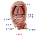2014年1月18日 (六) 14:52的版本的缩略图