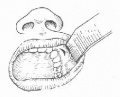 2014年1月19日 (日) 05:12的版本的缩略图