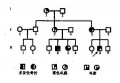 2014年1月17日 (五) 11:21的版本的缩略图