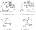 2014年1月19日 (日) 04:58的版本的缩略图