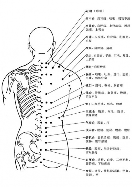 文件:X bei.jpg