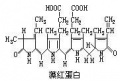 2014年1月19日 (日) 01:08的版本的缩略图