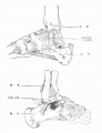 Gkrvj6d3.jpg