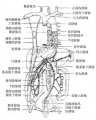 2014年1月19日 (日) 04:46的版本的缩略图