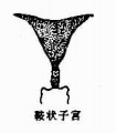 Guwghap3.jpg