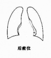 Guwf01ne.jpg