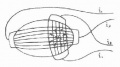 Glwc2j6u.jpg