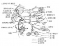 2014年1月18日 (六) 16:43的版本的缩略图