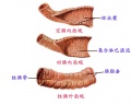 2014年1月19日 (日) 04:06的版本的缩略图