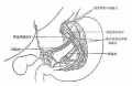 2014年1月17日 (五) 09:13的版本的缩略图