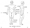 2014年1月18日 (六) 13:41的版本的缩略图