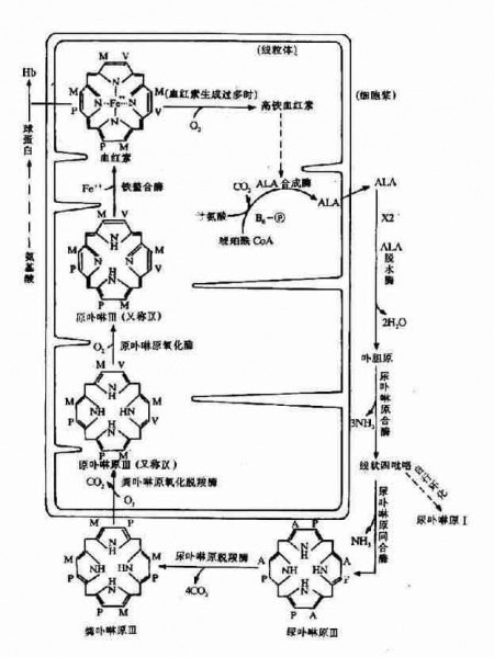 文件:Gra9awic.jpg