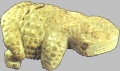 Bkf13.jpg