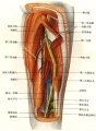 2014年1月18日 (六) 13:51的版本的缩略图
