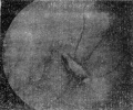 Gv7vfl6b.jpg