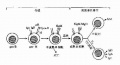 2014年1月19日 (日) 04:36的版本的缩略图