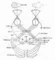 Gv6do73x.jpg