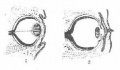 Gv6e7c39.jpg