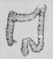 Guwfbwk7.jpg