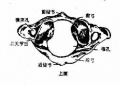 2014年1月18日 (六) 15:02的版本的缩略图