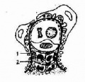 Gmj1wm2q.jpg