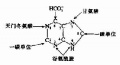 2014年1月19日 (日) 04:54的版本的缩略图