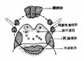 2014年1月17日 (五) 10:59的版本的缩略图